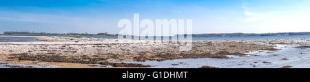 Paesaggi costieri con i ciottoli sulla spiaggia e cielo blu Foto Stock
