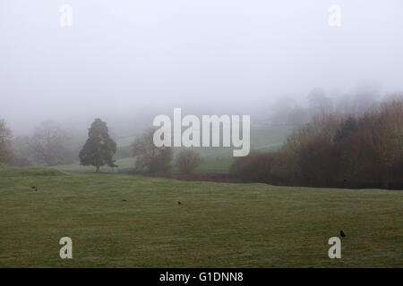 Nebbia di mattina su terreni agricoli in farley vicino a Alton towers, Staffordshire, Regno Unito Foto Stock