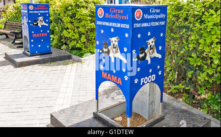 Cipro Nord KYRENIA cibo e acqua I PUNTI DI ALIMENTAZIONE PER CANI E GATTI NELLA PIAZZA PRINCIPALE Foto Stock