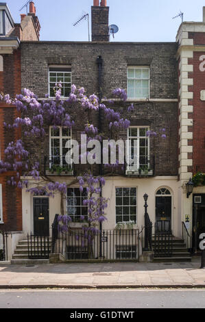 Richmond Green Wisteria crescente sulla costruzione Foto Stock