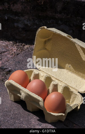 Tre grandi uova in un riciclati box giallo sulla pavimentazione. Fuori nel sole. Composizione diagonale. Foto Stock