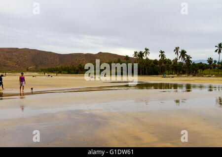 Las Palmas (spiaggia Playa Las Palmas) vicino a Todos Santos, Baja California Sur, Messico. Foto Stock