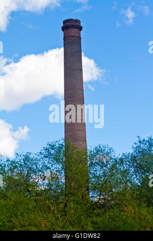 Vista del fumaiolo di mattoni progettato da Gustave Eiffel in corrispondenza di una miniera d'argento abbandonata in El Triunfo, Baja California Sur, Messico. Foto Stock