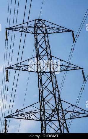 Un pilone lectricity overhead porta cavi di alimentazione. Foto Stock