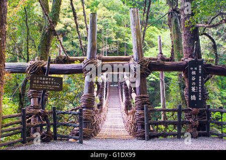 Vite Kazurabashi Bridge crossing Íýá Valle nella Prefettura di Tokushima Shikoku Giappone Foto Stock