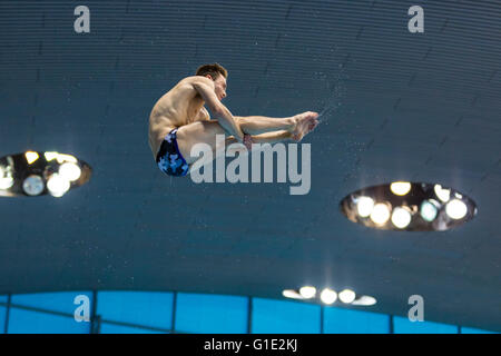 Aquatics Centre, Olympic Park, London, Regno Unito. Il 12 maggio 2016. Concorrente irlandese Oliver Dingley durante il 5° round. In Russia la Evgeny Cuznetsov prende oro, mentre British local hero Jack vince Laugher argento e dell'Ucraina Illya Kvasha vince la medaglia di bronzo nel Diving Uomini 3m Springboard Finale Credito: Imageplotter News e sport/Alamy Live News Foto Stock