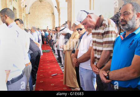 Gerusalemme, Gerusalemme, Territorio palestinese. 13 Maggio, 2016. Musulmani palestinesi adoratori di frequentare le preghiere del venerdì all'interno di al-Aqsa moschea, l'Islam il terzo sito più sacro, in Gerusalemme la città vecchia, il 13 maggio 2016 © Mahfouz Abu Turk/immagini APA/ZUMA filo/Alamy Live News Foto Stock