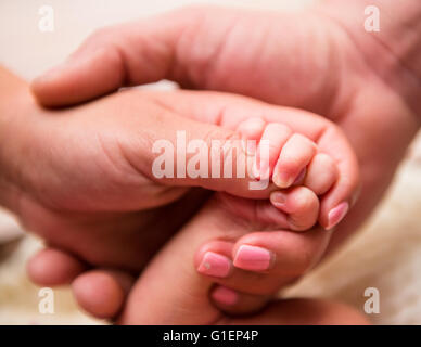 Padre, madre e bambino le mani Foto Stock