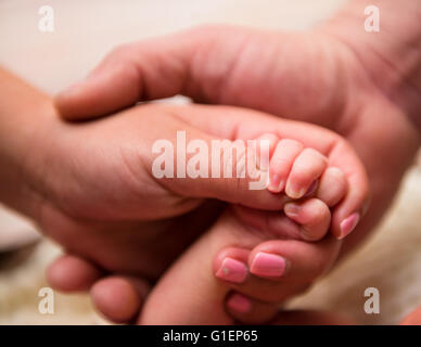 Padre, madre e bambino le mani Foto Stock