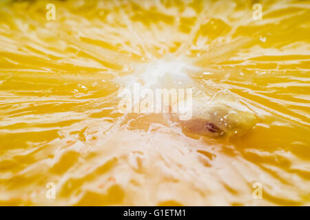 Foto macro limone tagliato. Chiudere fino al limone. Foto Stock