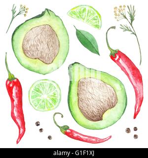 Collezione di dipinti a mano le spezie, avocado e calce illustrazioni isolate su sfondo bianco Foto Stock