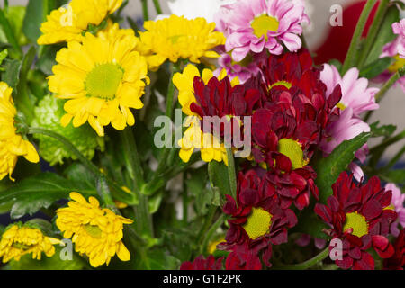 Bouquet di fiori selvatici di diversi colori Foto Stock