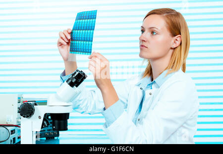 Modello rilasciato. Tecnico femminile tenendo i wafer di silicio. Foto Stock