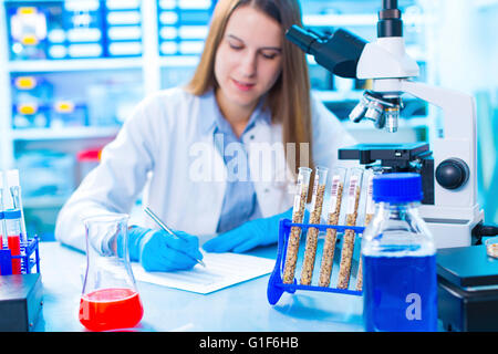 Modello rilasciato. Femmina tecnico di laboratorio di scrittura di note, provette con legumi in primo piano. Foto Stock