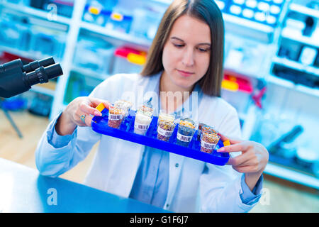 Modello rilasciato. Femmina tecnico di laboratorio con campioni di alimenti per allergie test in laboratorio. Foto Stock