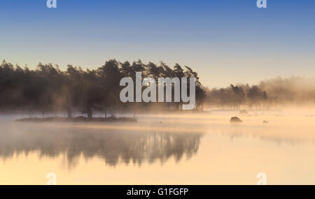 Sunrise, Mäen, Gashult, Småland, Svezia Foto Stock