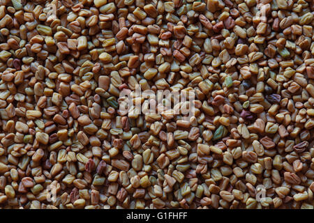 Semi di fieno greco, fieno greco semi, fieno greco sfondo, fieno greco foto, fieno greco macro, fieno greco piccante Foto Stock