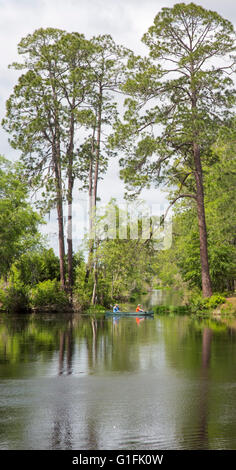 Folkston, Georgia - Persone canoa sul Canal Suwannee nel Okefenokee National Wildlife Refuge. Foto Stock