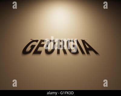Un Rendering 3D dell'ombra di un upside down testo che legge la Georgia. Foto Stock
