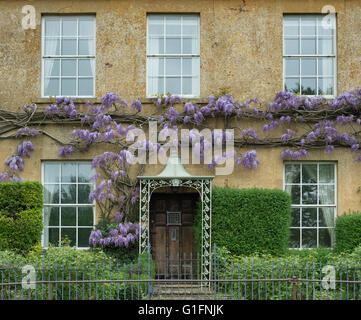 Il Glicine in un cottage del villaggio di Blockley, Cotswolds, Gloucestershire, Inghilterra Foto Stock