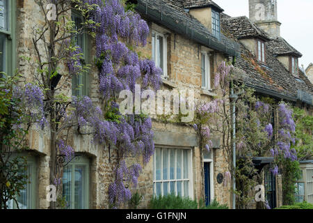 Il Glicine su una pietra di Cotswold House. Burford. Cotswolds, Oxfordshire, Inghilterra Foto Stock