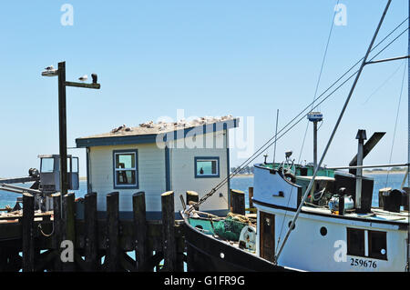 California: una barca da pesca nella bodega porto nella Bodega Bay, l'impostazione della pellicola di 1963 uccelli diretto da Alfred Hitchcock Foto Stock