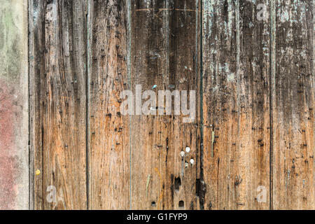 Dettaglio di un pannellate di legno porta nel Quartiere Francese, New Orleans Foto Stock
