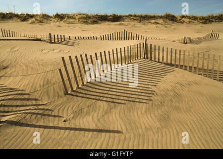 Ocean Beach con spiaggia di scherma nel tardo pomeriggio Foto Stock