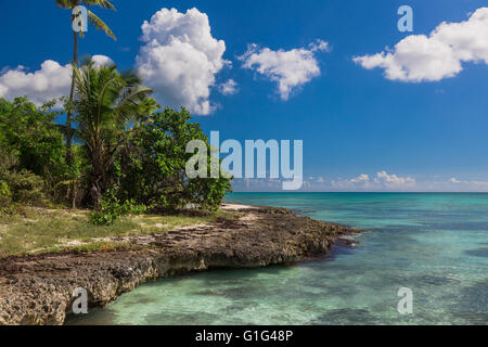 Wild Coral Beach, Saona Island Mar dei Caraibi. Foto Stock