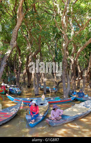 La foresta di mangrovie in Kompong Phluk, Siem Reap, Cambogia Foto Stock