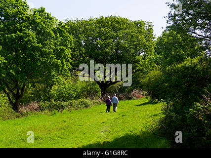 Due persone che camminano sul percorso attraverso Fingringhoe Wick, un Essex Wildlife Trust riserva naturale, Essex, Inghilterra, Regno Unito Foto Stock