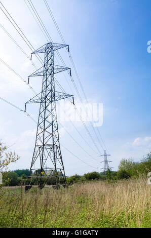 Elettricità tralicci marzo attraverso il paesaggio che trasportano i cavi di energia elettrica. Foto Stock