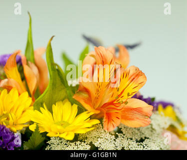 Mazzo di fiori misti Foto Stock