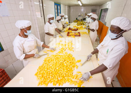 Il commercio equo e solidale ananas processore / produttore di Grand Bassam, Costa d'Avorio, l'Africa occidentale. Foto Stock