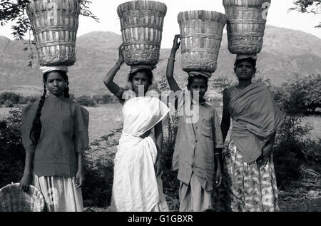 Le donne in Tamil Nadu india Foto Stock