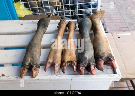 Mucca tagliato le gambe nella medina street market di Essaouira, Marocco Foto Stock