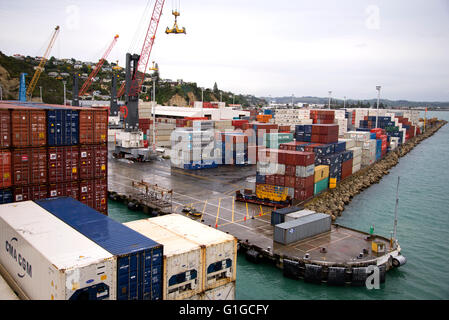 Vista di contenitori impilati sulla banchina nel porto di Napier, Nuova Zelanda visto da Utrillo nave portacontainer come lei arriva in porto. Foto Stock