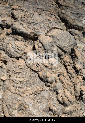 Pahoehoe solidificato o ropey campo di lava, Tahiche, Lanzarote, Isole Canarie, Spagna Foto Stock