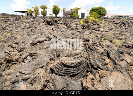 Casa in piedi in solidificato o pahoehoe ropey campo di lava, Tahiche, Lanzarote, Isole Canarie, Spagna Foto Stock