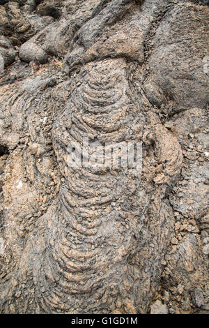 Pahoehoe solidificato o ropey campo di lava, Tahiche, Lanzarote, Isole Canarie, Spagna Foto Stock