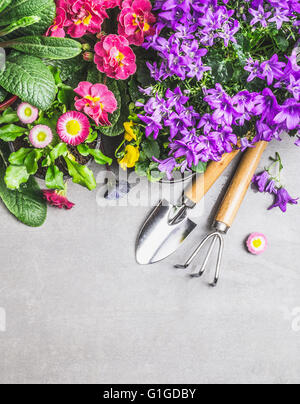 Attrezzi da giardino decorativo con fiori estivi sulla pietra grigia sullo sfondo di calcestruzzo, vista dall'alto, di confine Foto Stock