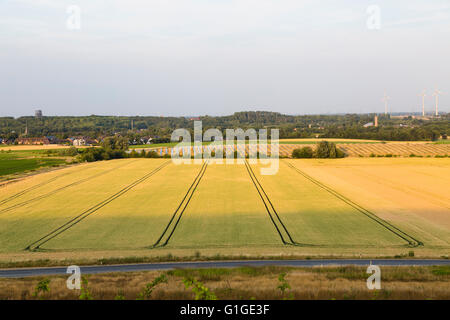 Angolo di alta vista sui campi per un grande pannello solare park gigante e di turbine a vento, misti energie rinnovabili fonti. Foto Stock
