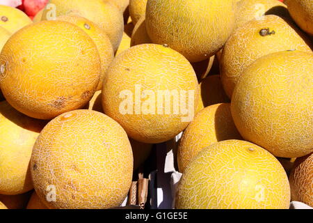 Freschi meloni gialli visualizzato in un greengrocery Foto Stock