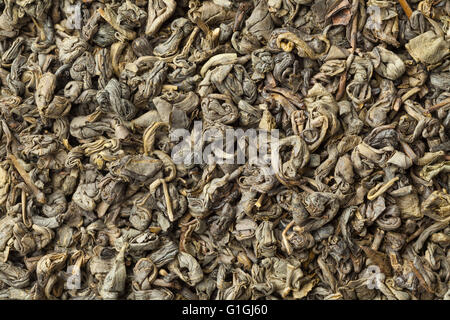 La polvere da sparo green tea agglomerati in forma di pellets di telaio completo Foto Stock