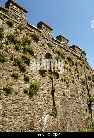 Torrington storica città mercato e guerra civile sito North Devon Foto Stock