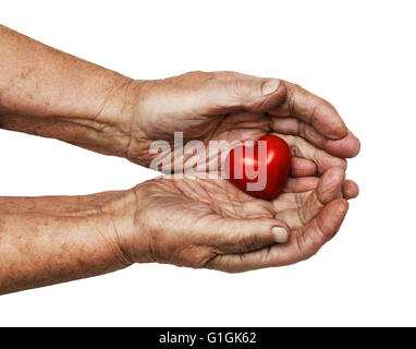 Donna anziana mantenendo il cuore rosso nel suo palms isolati su sfondo bianco, simbolo di attenzione e di amore Foto Stock