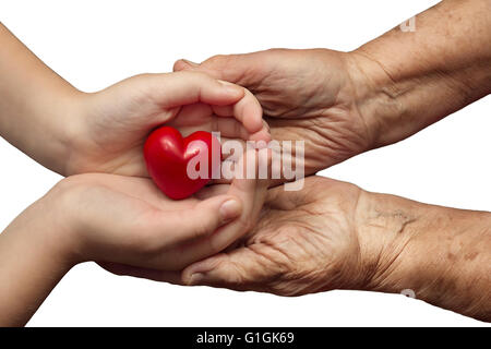 Bambina e donna anziana mantenendo il cuore rosso nel loro insieme di palme, isolato su sfondo bianco, simbolo di attenzione e di amore Foto Stock