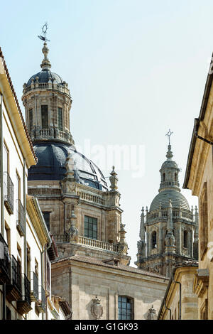 Torri di La Clericia, Salamanca Castiglia e Leon, Spagna Foto Stock