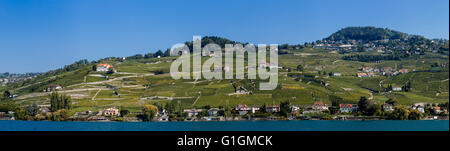 Una vista della Svizzera tra il Lago di Ginevra. Foto Stock