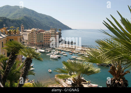 Camogli piccolo villaggio di pescatori località turistica sul lato ovest della penisola di Portofino, Golfo Paradiso Riviera di Foto Stock